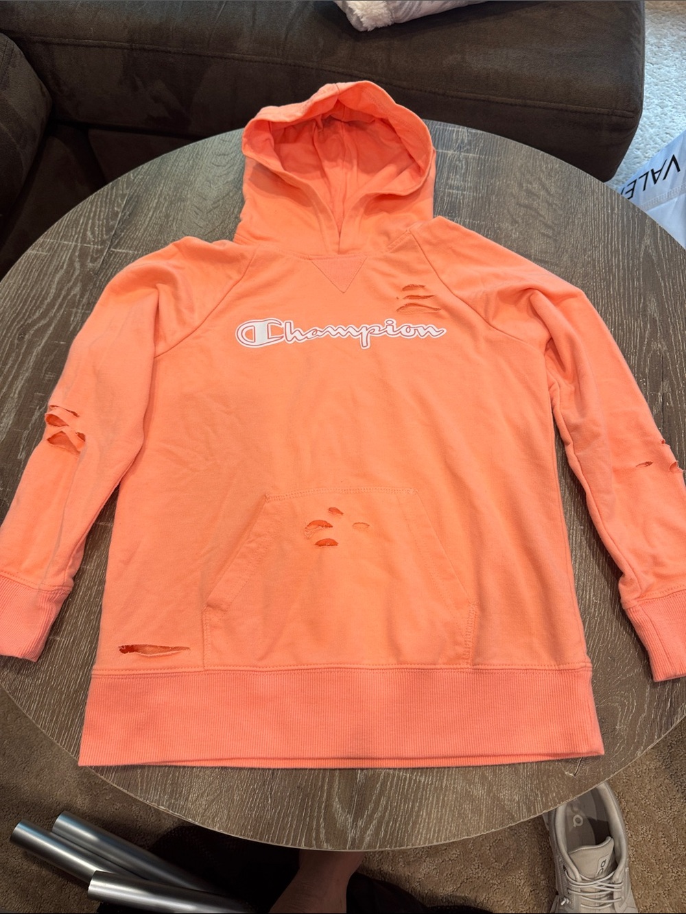 Champion Coral Pink Hooded Sweatshirt